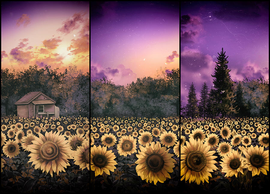 Sunflowers triptych 2 Painting by Bekim M