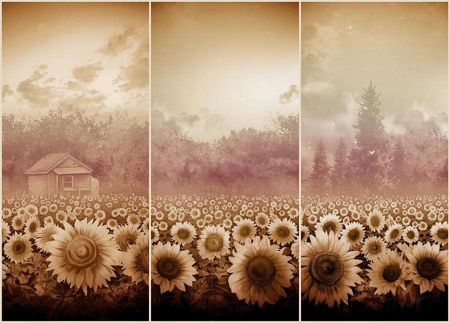Sunflowers Triptych 3 Painting by Bekim M