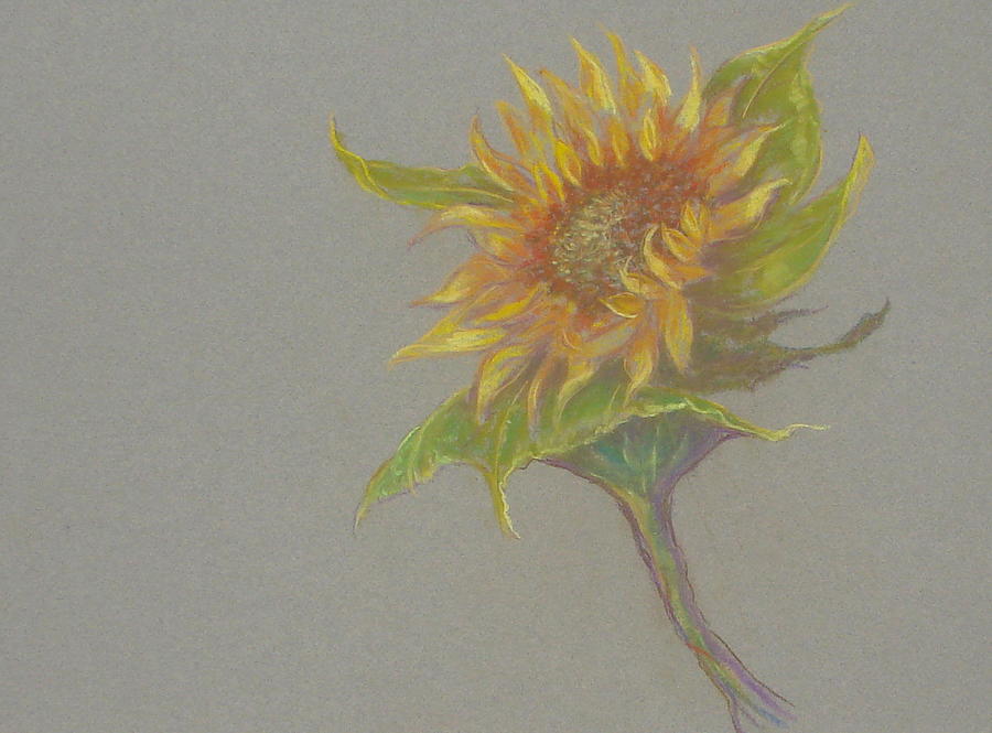 Sunflower Painting - Sunflowers Tuscany Image of Summer II by Phyllis OShields