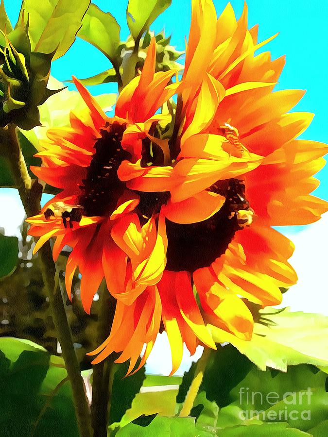 Sunflower Photograph - SunFlowers - Twice as Nice by Janine Riley