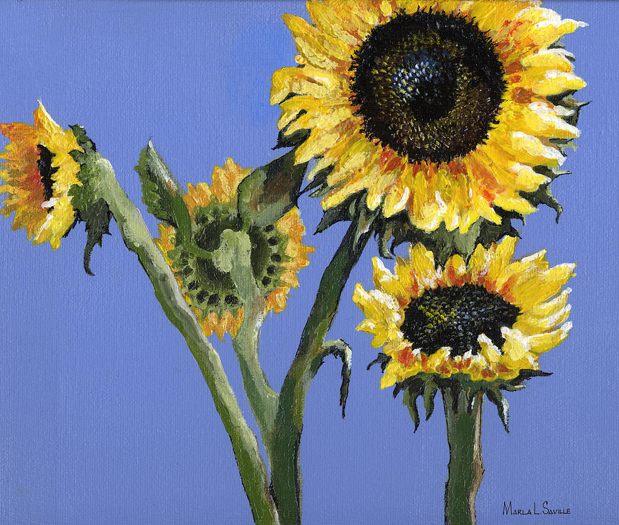Sunflowers Two Painting by Marla Saville