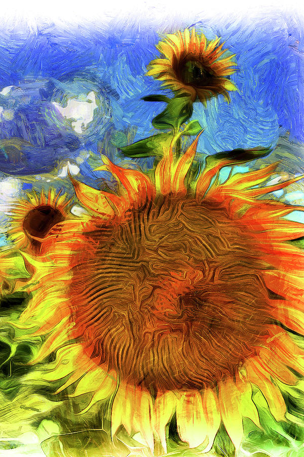 Sunflowers Van Gogh Art Photograph