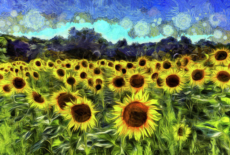 Sunflowers Van Gogh #2 Photograph by David Pyatt