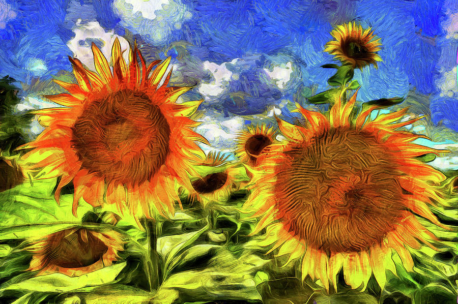 Vincent Van Gogh Photograph - Sunflowers Vincent Van Gogh by David Pyatt