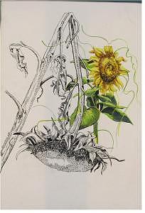 Sunflowers Painting by Wanda Dansereau
