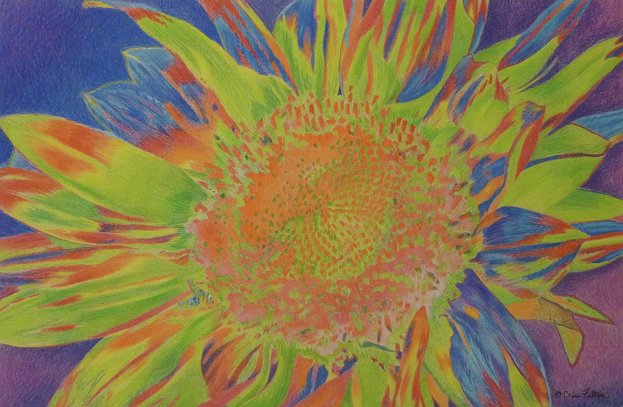 Sunjazzed Pastel by Cris Fulton