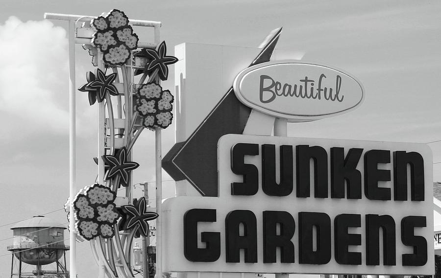 Sunken Gardens Photograph by Robert Wilder Jr