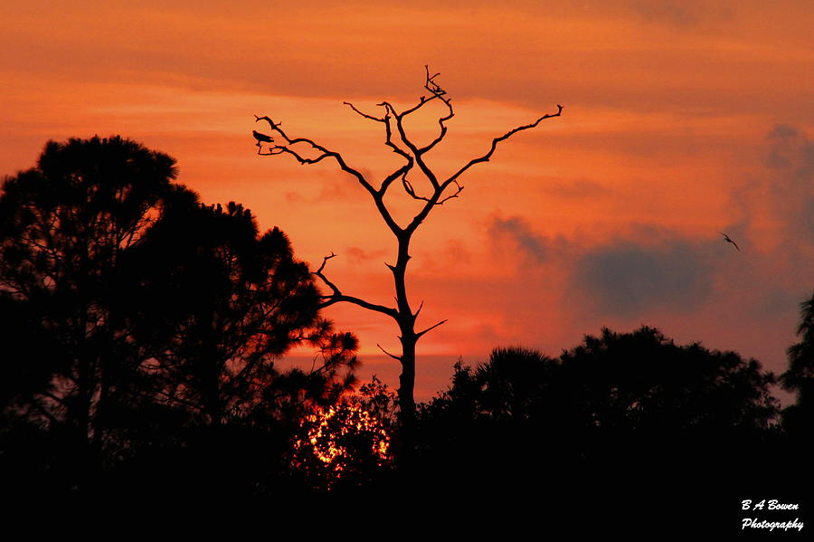 Sunset Photograph - Sunken Sun by Barbara Bowen