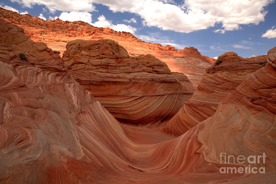 The Wave Photograph - Sunkiss At Coyote Buttes by Adam Jewell