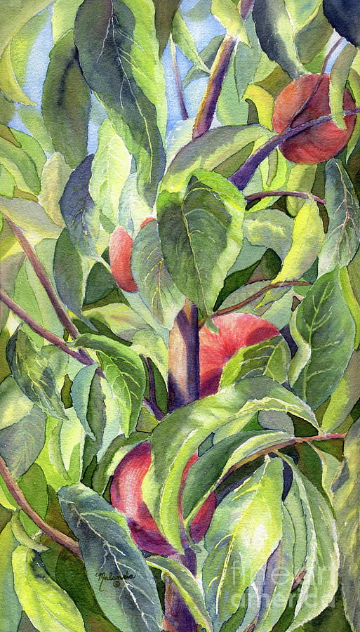 Sunkissed Peaches Painting by Malanda Warner