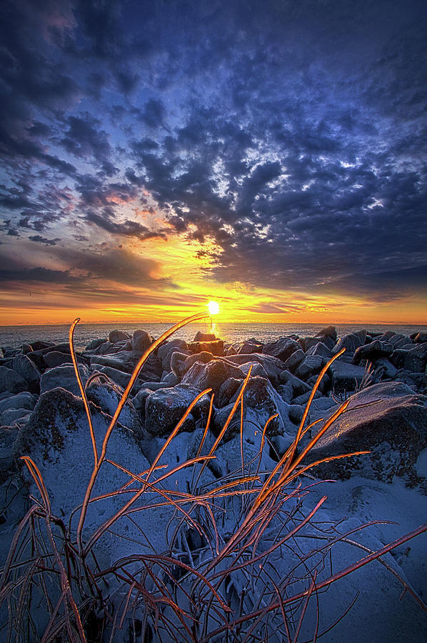 Sunkissed Photograph by Phil Koch
