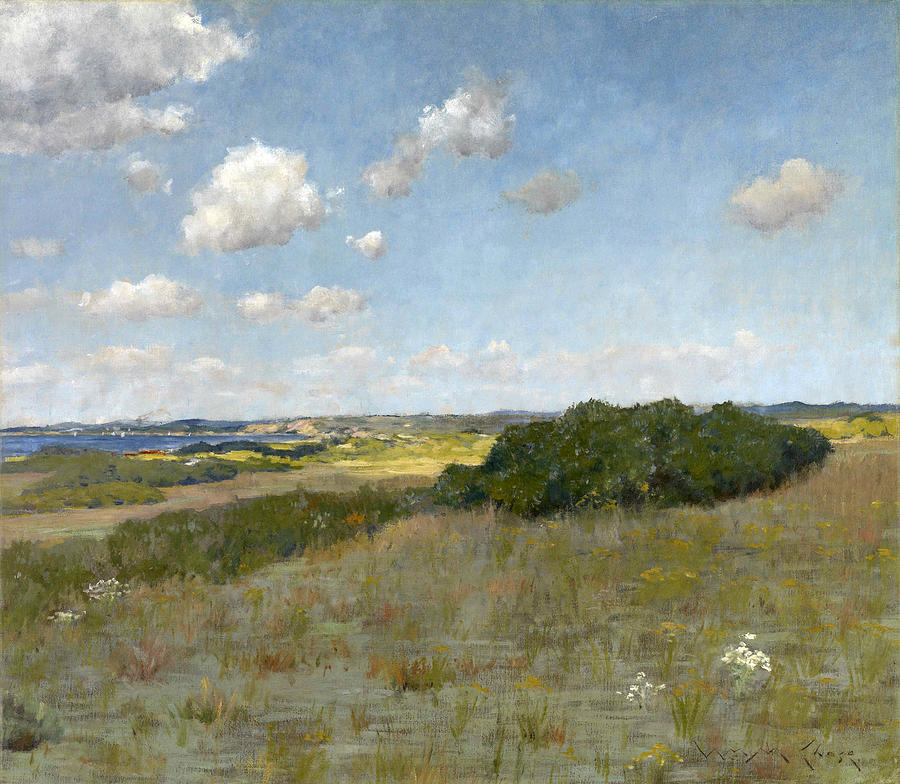 William Merritt Chase Painting - Sunlight and Shadow. Shinnecock Hills by William Merritt Chase