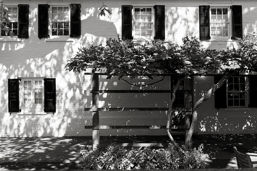 Sunlight Dappled Building Photograph by Stephen Russell Shilling
