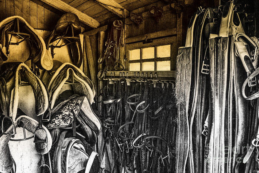Sunlight Horse Tack Room Window Photograph by Jerry Cowart