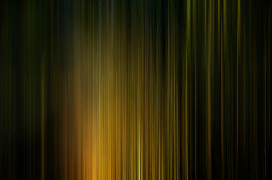Sunlight on Grass Digital Abstracts Motion Blur Photograph by Rich Franco