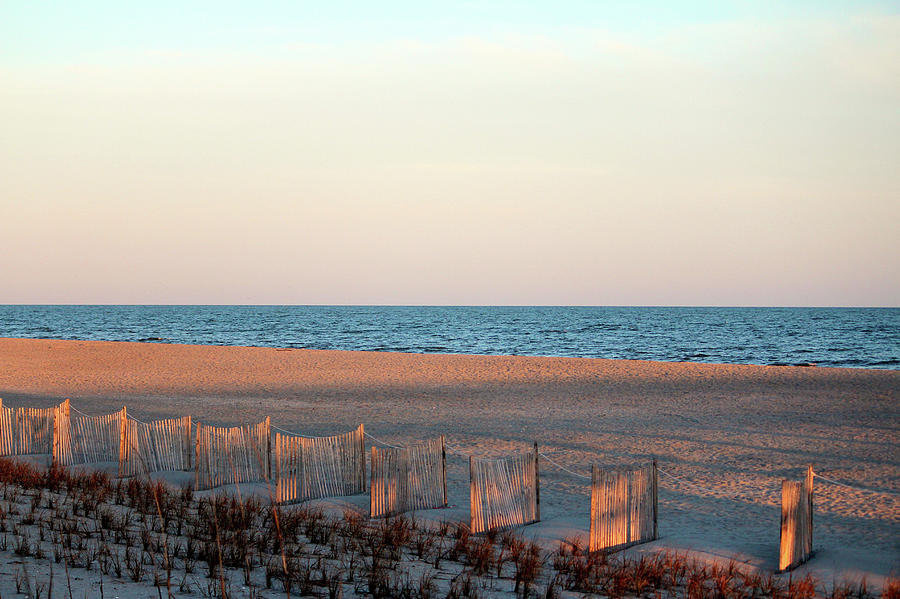 Sunlight On The Beach Photograph by Cynthia Guinn