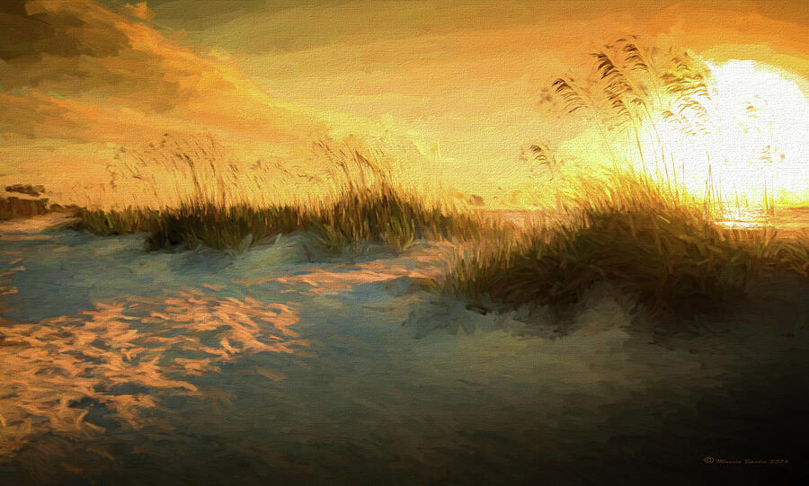 Sunlight On The Dunes Digital Art by Marvin Spates
