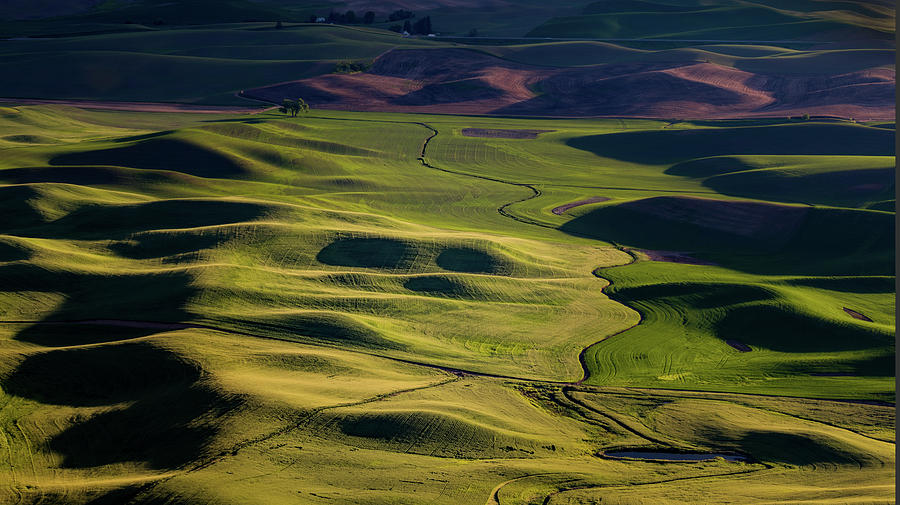 Sunlight on the Palouse Photograph by Jerry Fornarotto