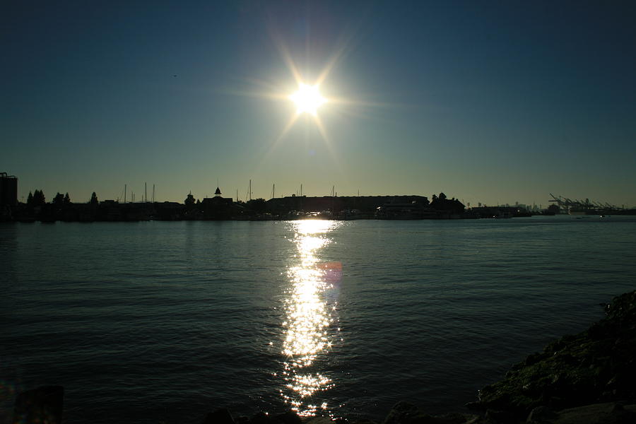 Oakland Photograph - Sunlight On The Water by Joshua Sunday