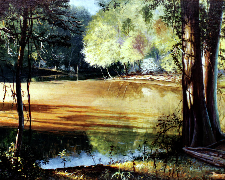 Sunlight on Village Creek Painting by Randy Welborn