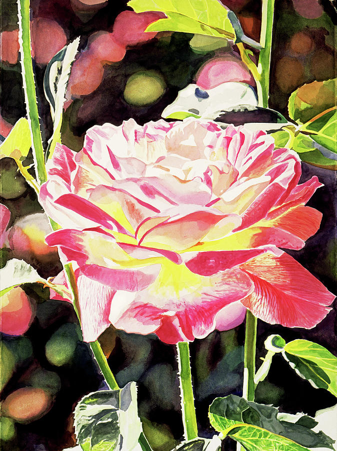 Sunlight Roses Painting by David Lloyd Glover