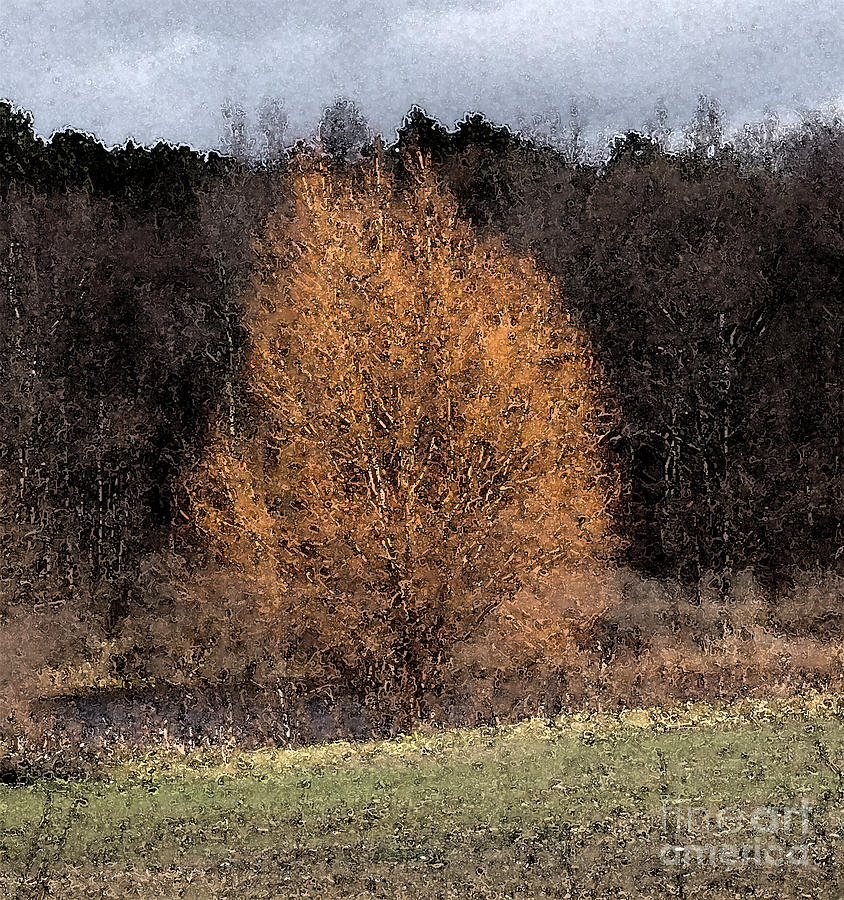 Sunlit Autumn Tree Watercolor Filter Photograph by Conni Schaftenaar