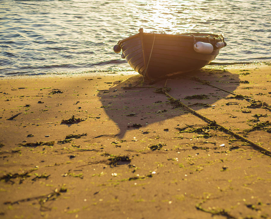 Beach Photograph - Sunlit Beach by A J Paul Beach Photograph - Sunlit Beach by A J Paul