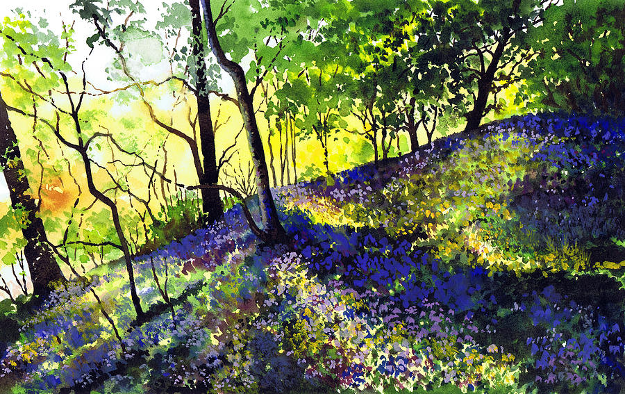 Sunlit Bluebell Wood Painting by Paul Dene Marlor