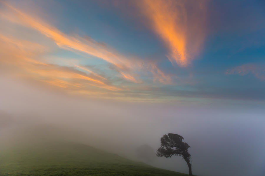 Sunlit Clouds Above Fog Photograph by Marc Crumpler