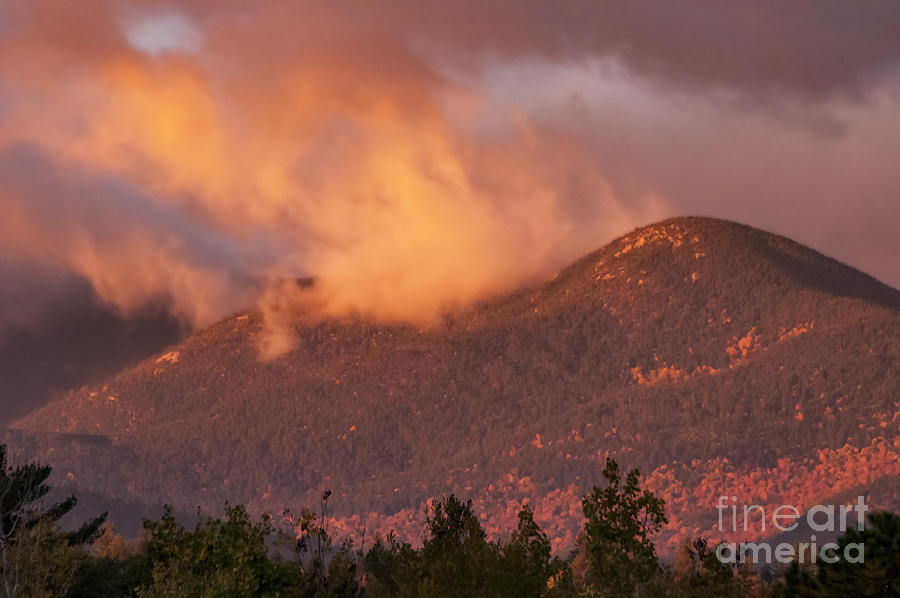 Sunlit Clouds Photograph by Bob Phillips