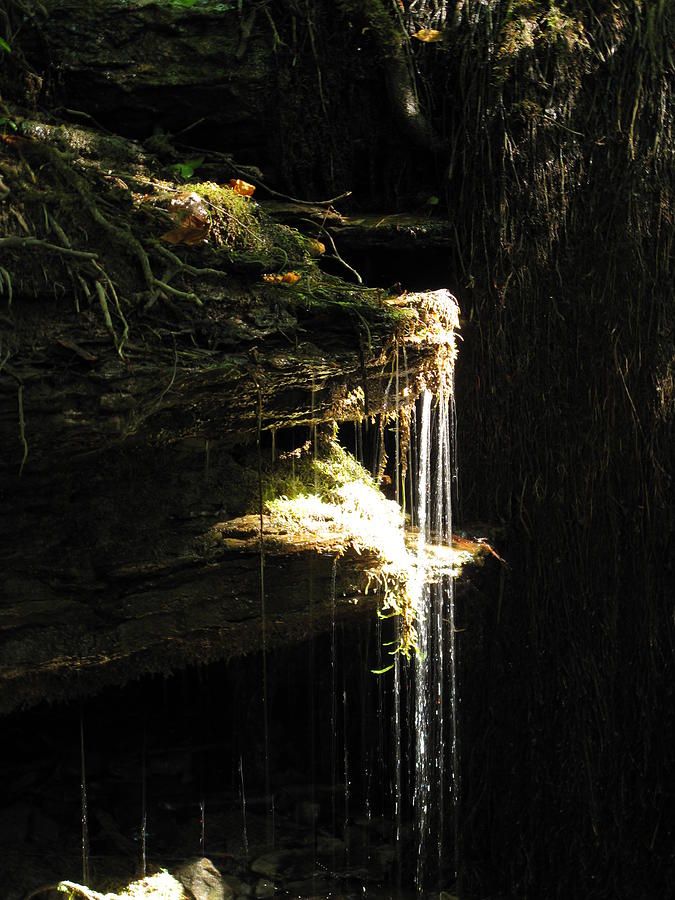 Sunlit Falls Photograph by Stacie Siemsen