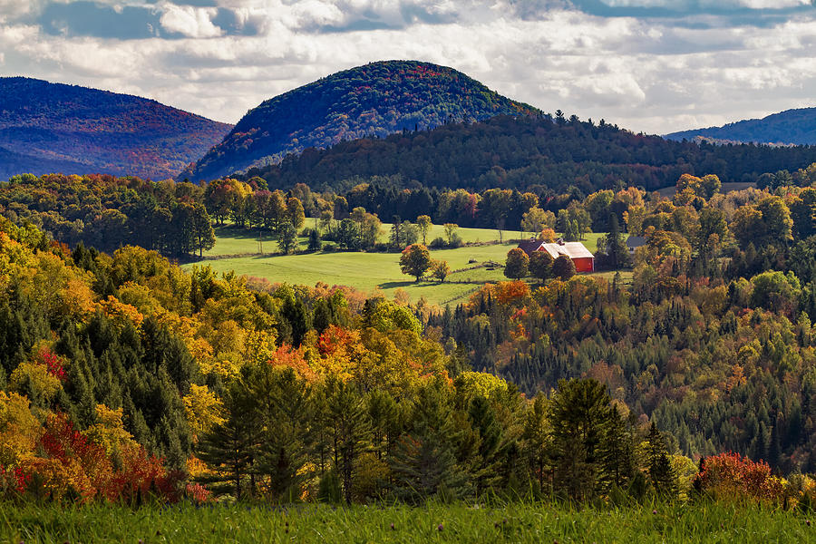 Sunlit Farm in Fall Photograph by Janet Ballard - Fine Art America