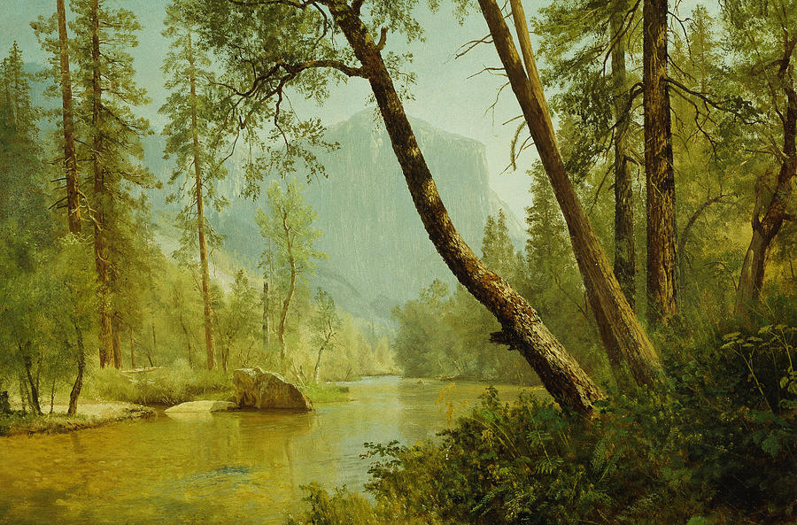 Albert Bierstadt  Painting - Sunlit Forest by Albert Bierstadt
