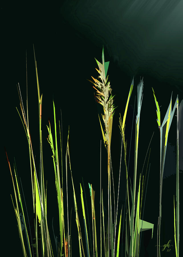 Sunlit Grasses Digital Art by Gina Harrison