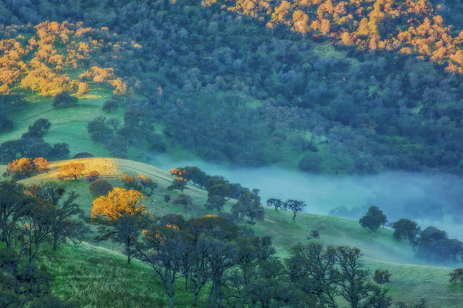 Sunlit Hills and Fog Photograph by Marc Crumpler