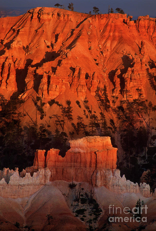 Sunlit Hoodoo In Bryce Canyon National Park Utah Photograph by Dave Welling