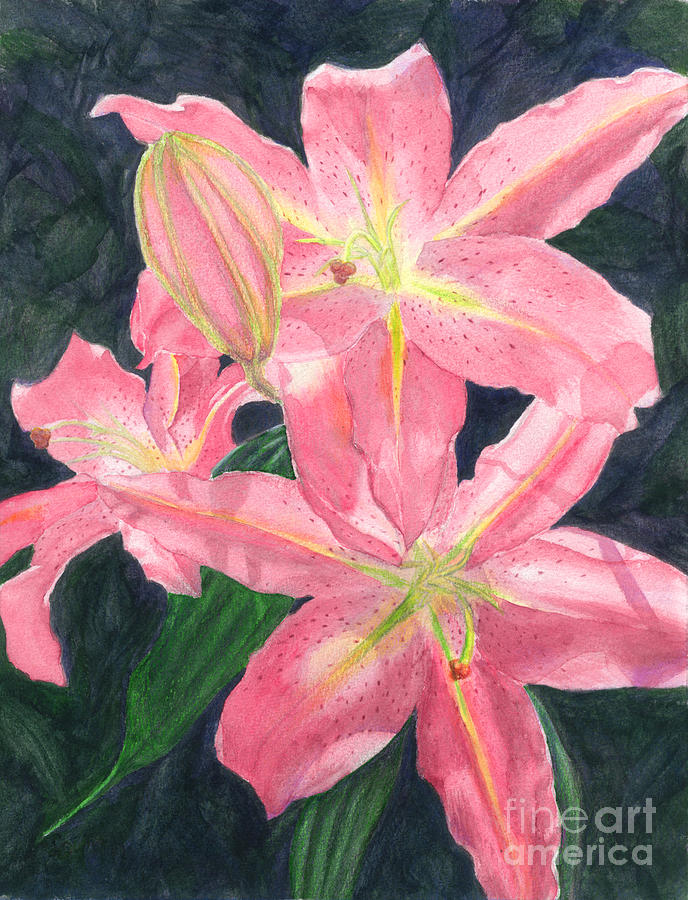 Sunlit Lilies Painting by Lynn Quinn