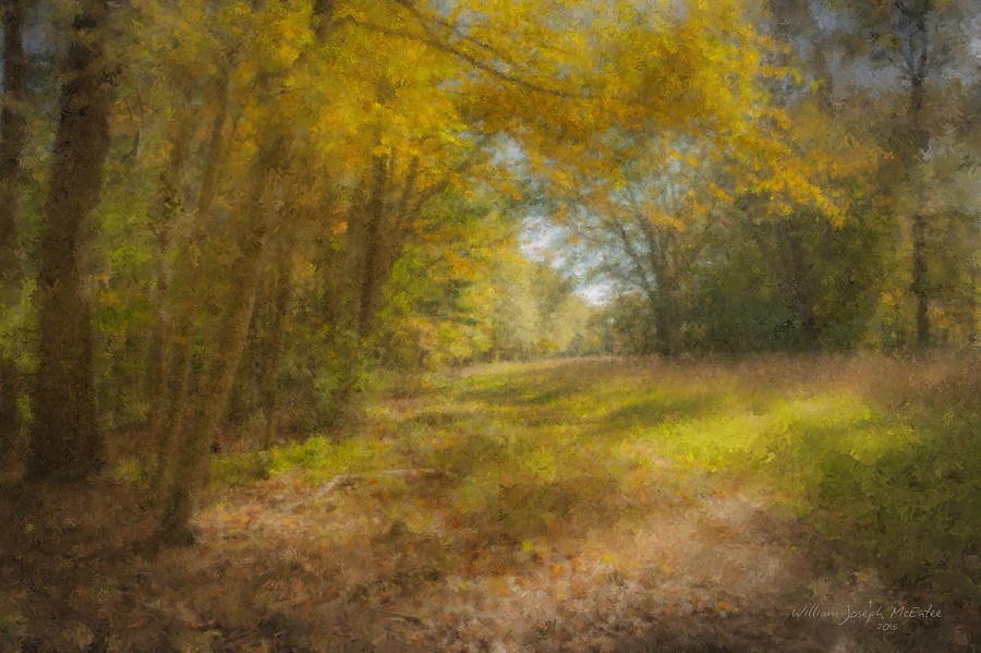 Sunlit Meadow in Borderland Painting by Bill McEntee