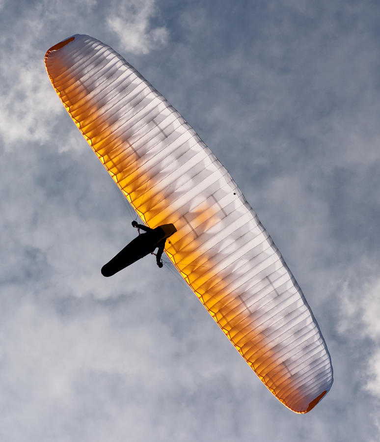 Sunlit Paraglider Photograph by Bel Menpes