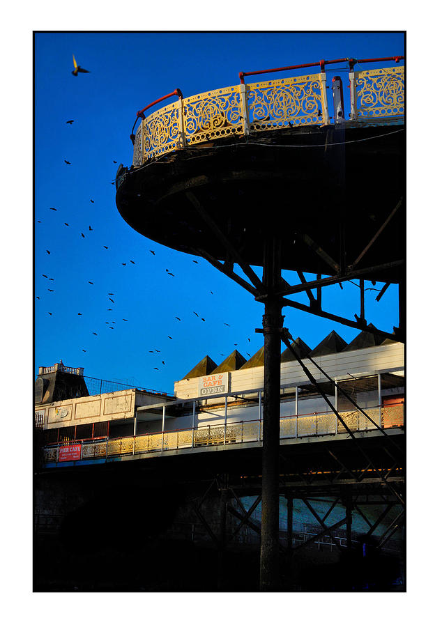 Pigeon Photograph - Sunlit Pier by Mal Bray