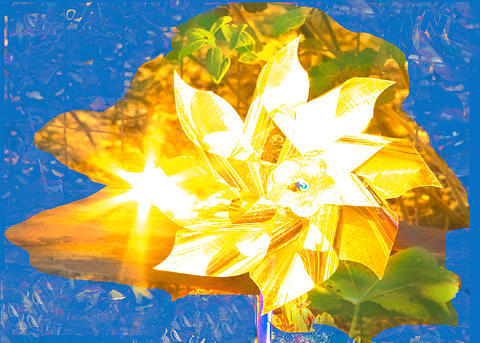 Abstract Digital Art - Sunlit Pinwheel by Sharon Welker