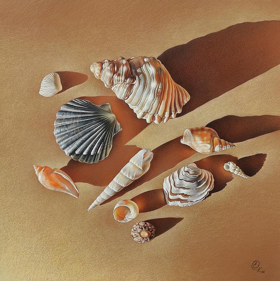 Sunlit shells Drawing by Elena Kolotusha