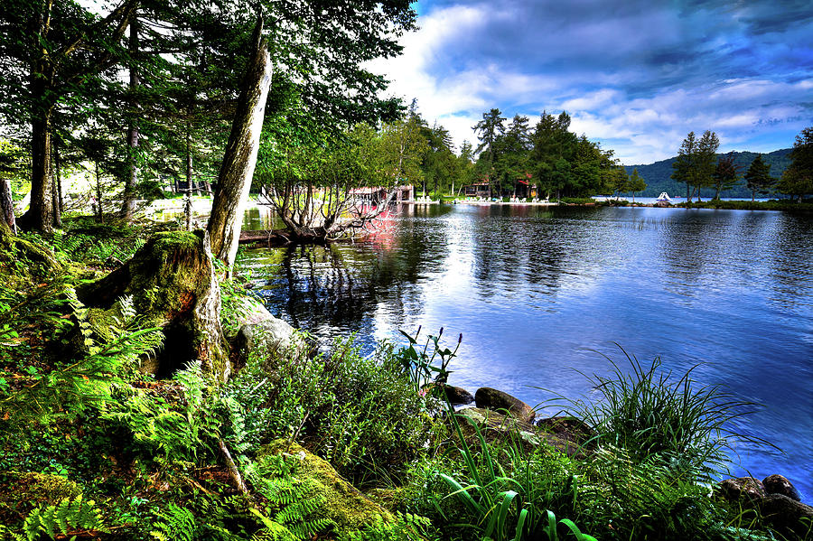 Sunlit Shore at Covewood Photograph by David Patterson
