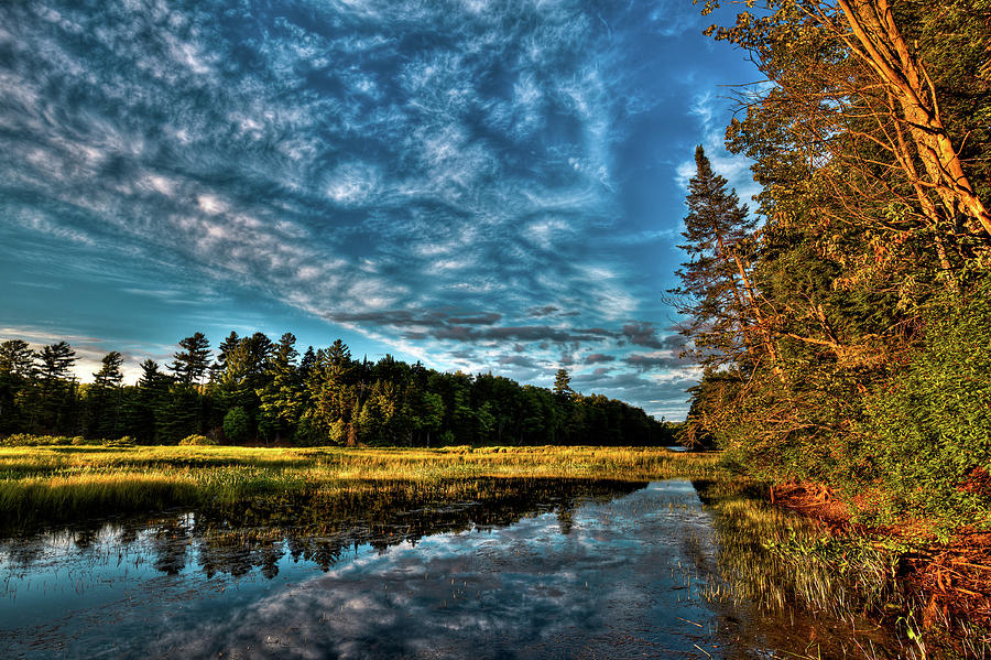Sunlit Shore of the Moose River Photograph by David Patterson