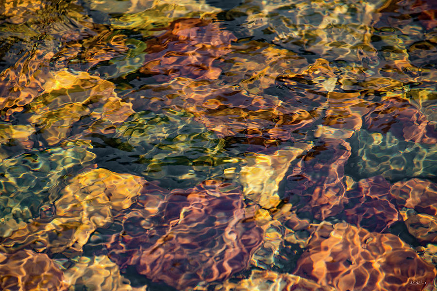 Nature Photograph - Sunlit Water Patterns by Leland D Howard