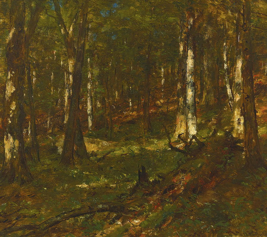Sunlit Woodland Scene Painting by Thomas Worthington Whittredge