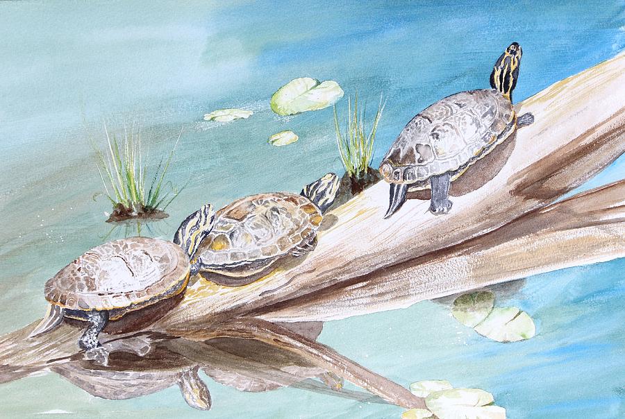 Turtle Painting - Sunnen Themselves by Pat Hartman