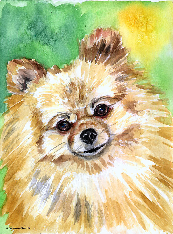 Pomeranian Painting - Sunny - Pomeranian by Lyn Cook