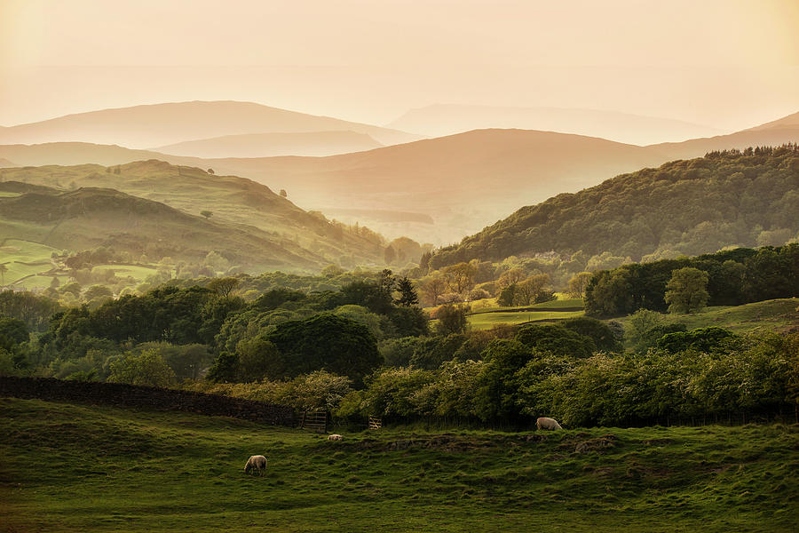Sunny afternoon in Lake District Photograph by Jaroslaw Blaminsky