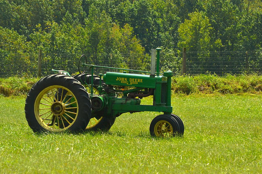 Sunny and Green by JD Grimes Sunny and Green by JD Grimes